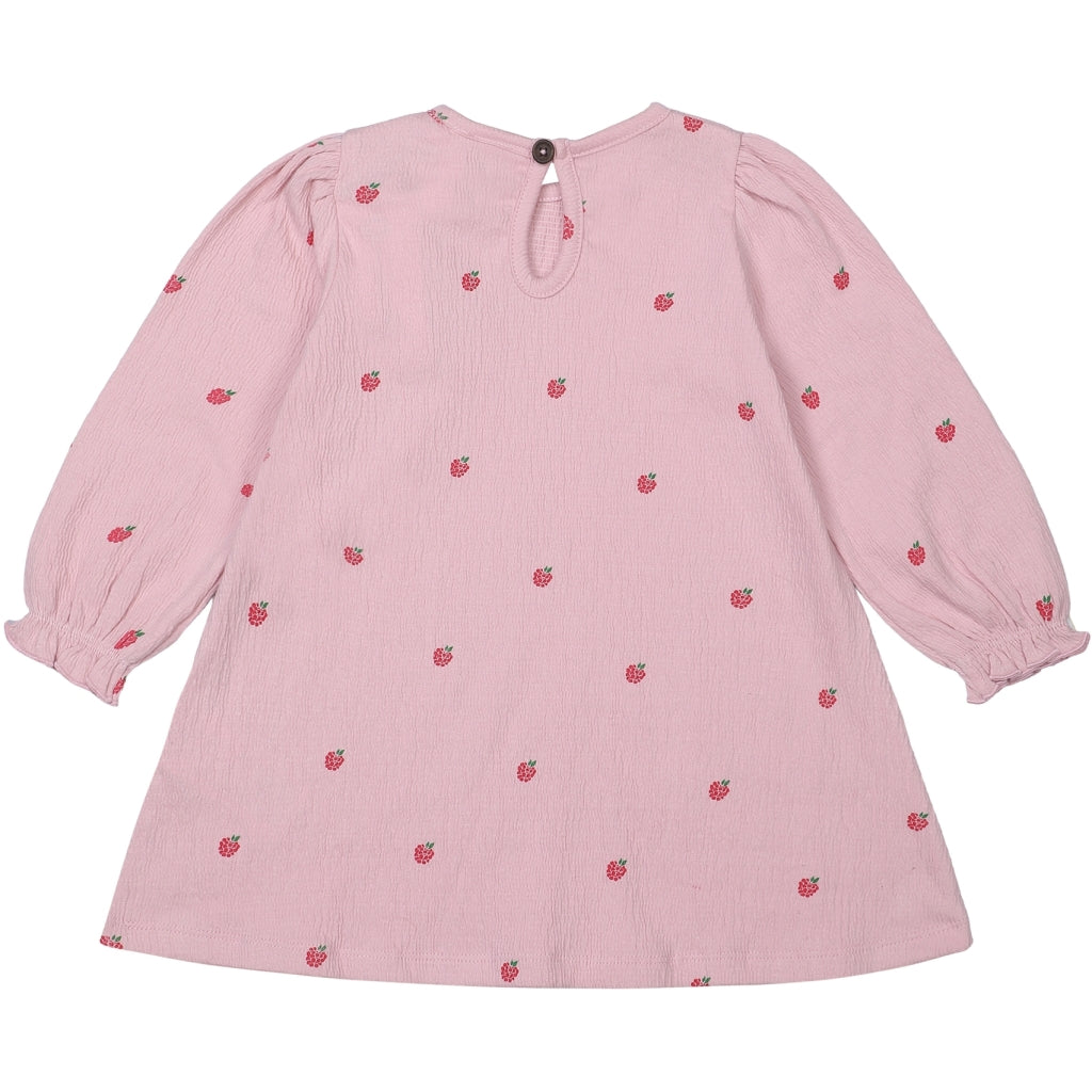 THE NEW - JURK FRAMBOOSJES