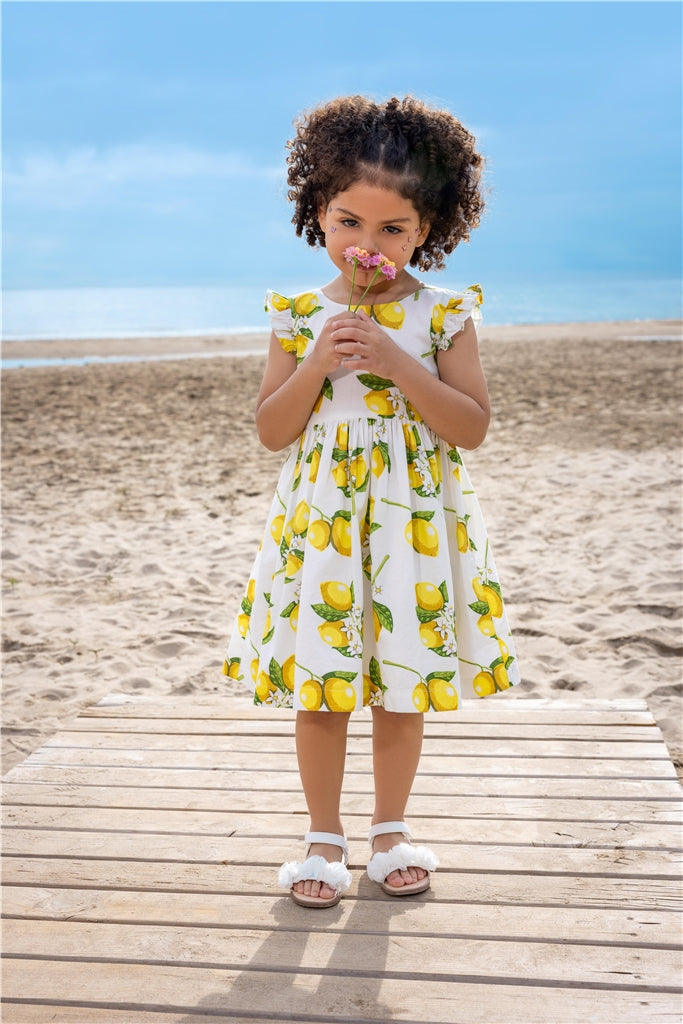 BLUE SEVEN - CITROENEN JURK