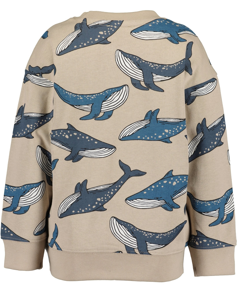 BLUE SEVEN - WALVISSEN TRUI