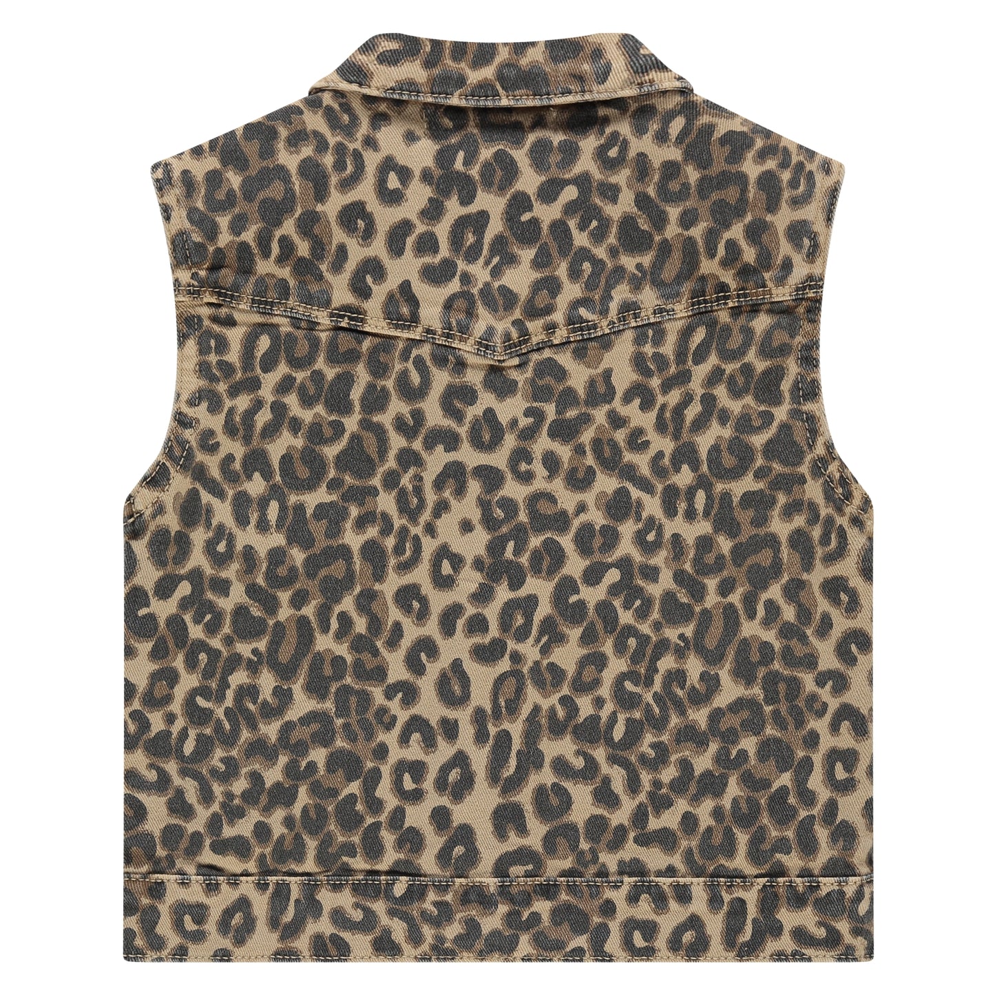 STAINS AND STORIES - LEO GILET