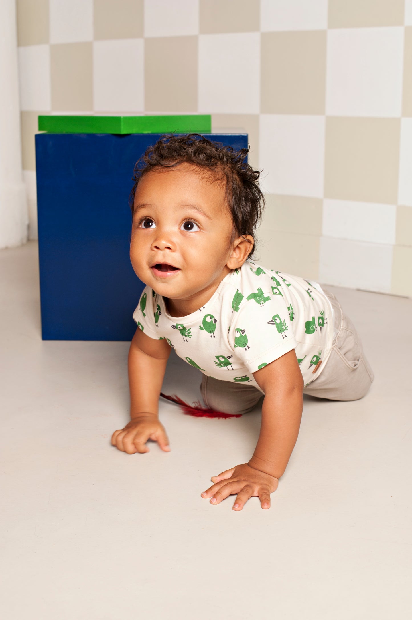 BABYFACE - VOGEL SHIRTJE GROEN