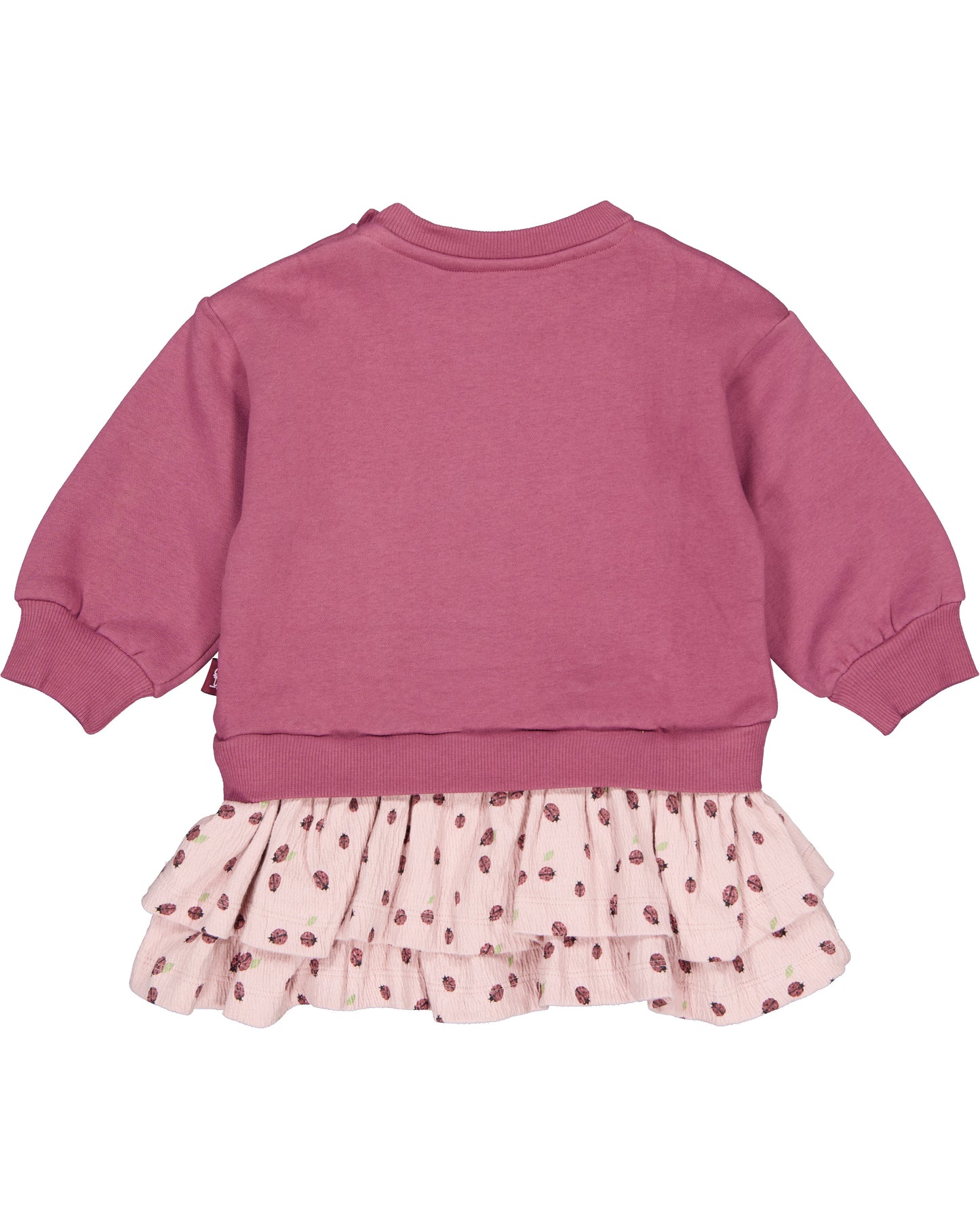 QPI - JURK GABRIELLA