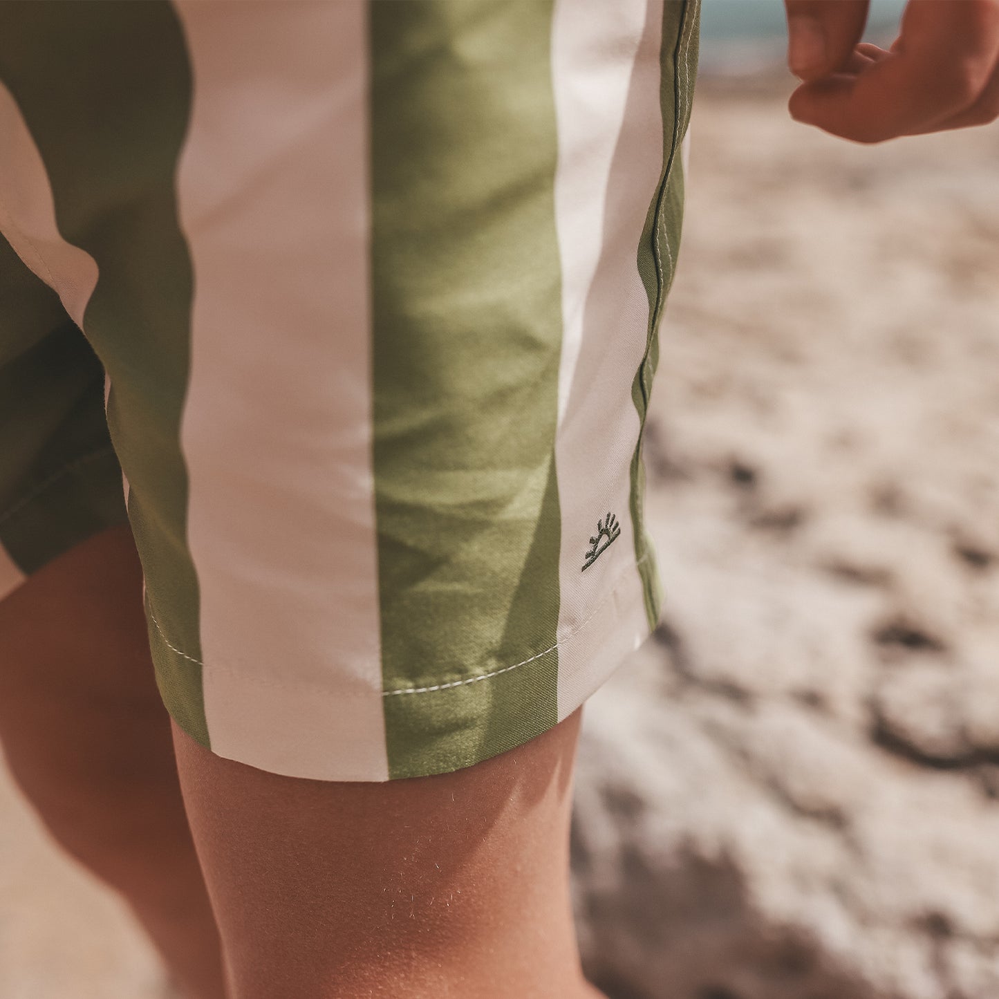 SALTED STORIES - SWIM SHORT IGUANA WIDE STRIPE
