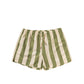SALTED STORIES - SWIM SHORT MEN IGUANA WIDE STRIPE
