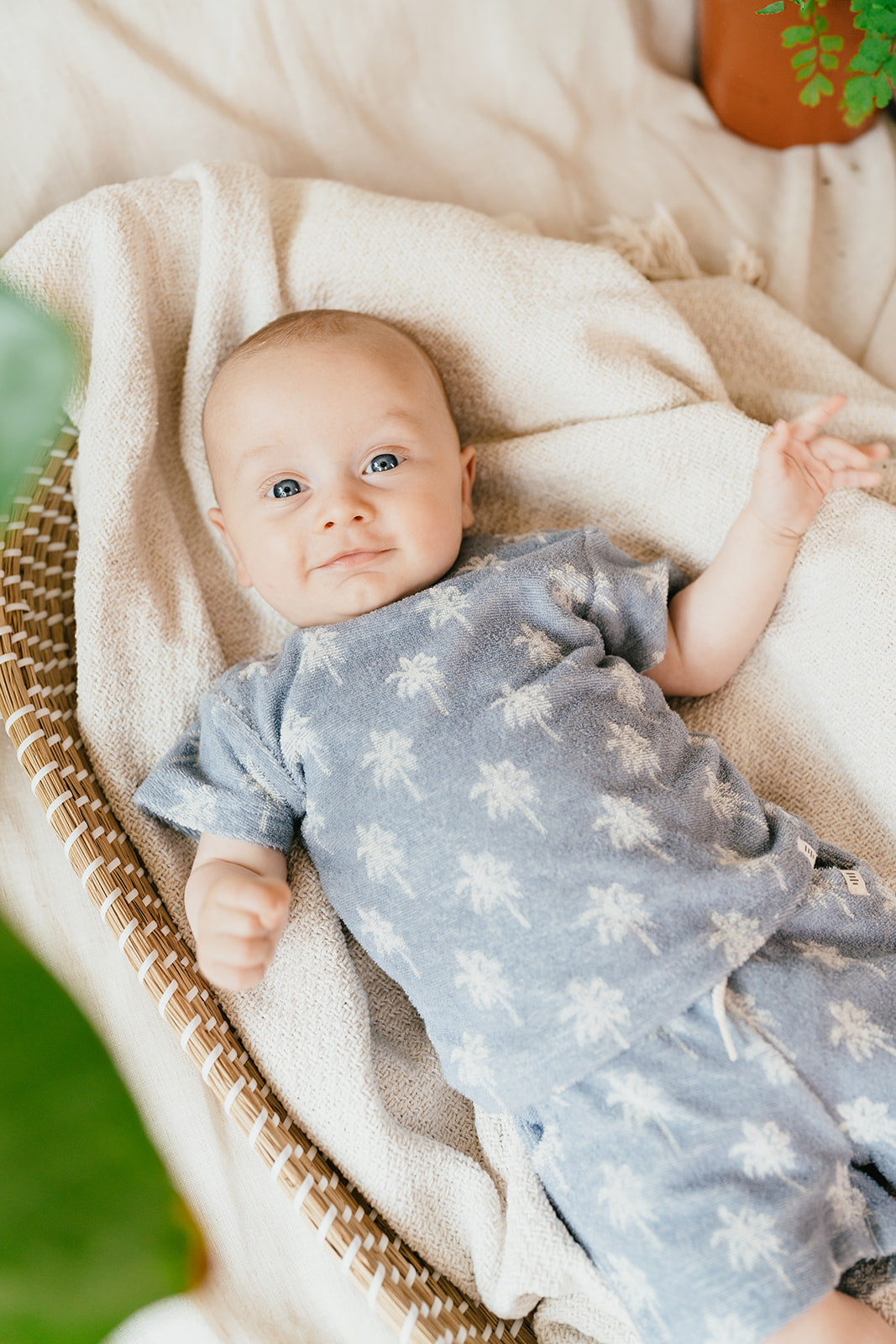 A TINY STORY - BABY SHORT LIGHT BLUE PALM
