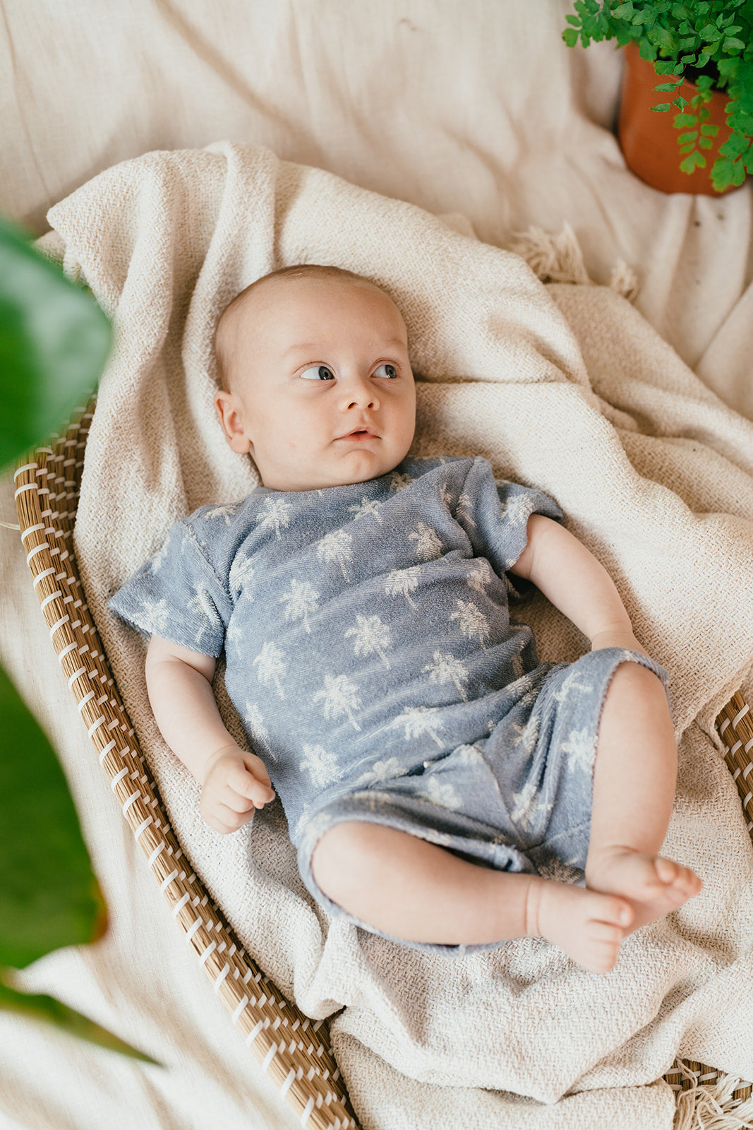 A TINY STORY - BABY SHORT LIGHT BLUE PALM
