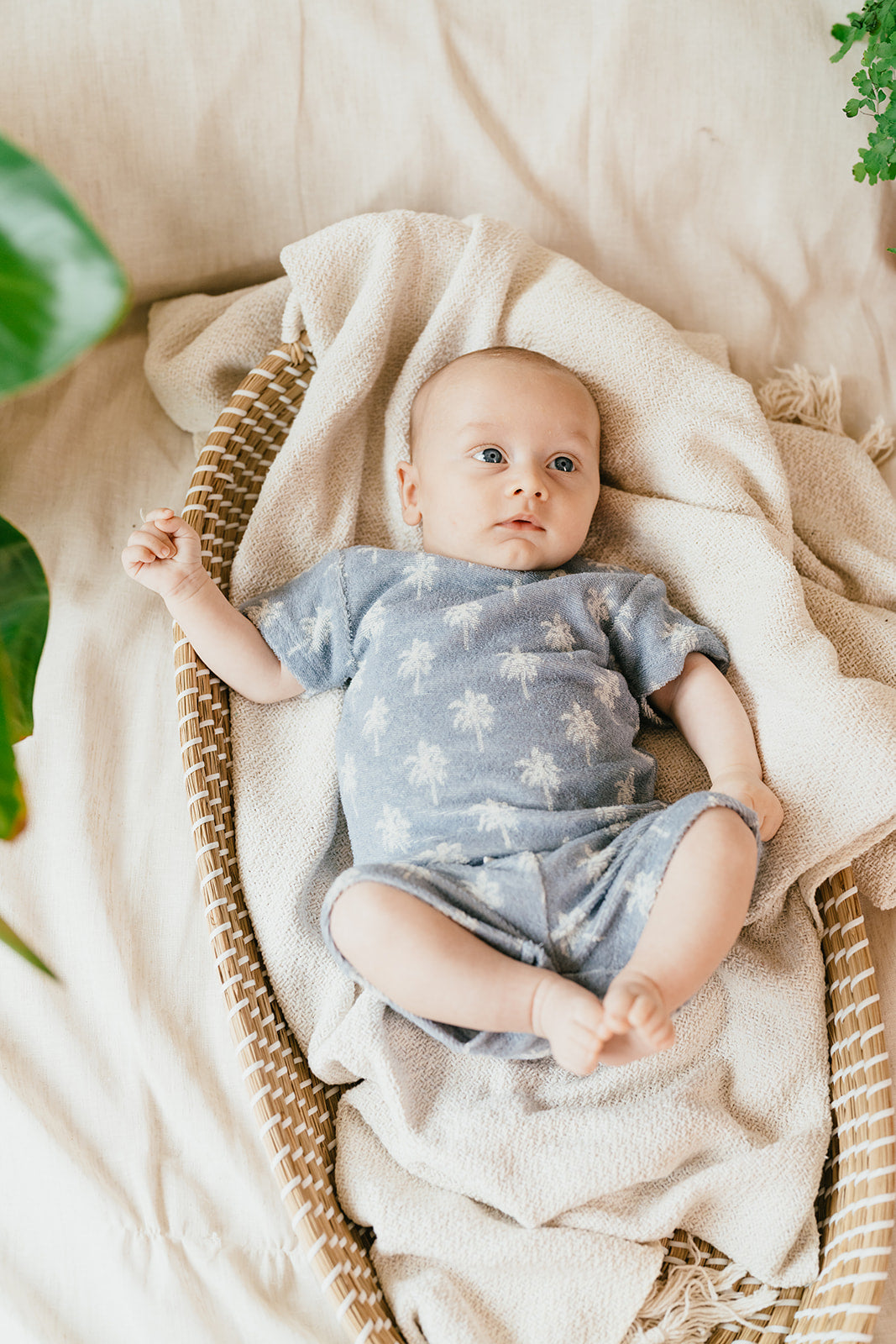 A TINY STORY - BABY SHORT LIGHT BLUE PALM