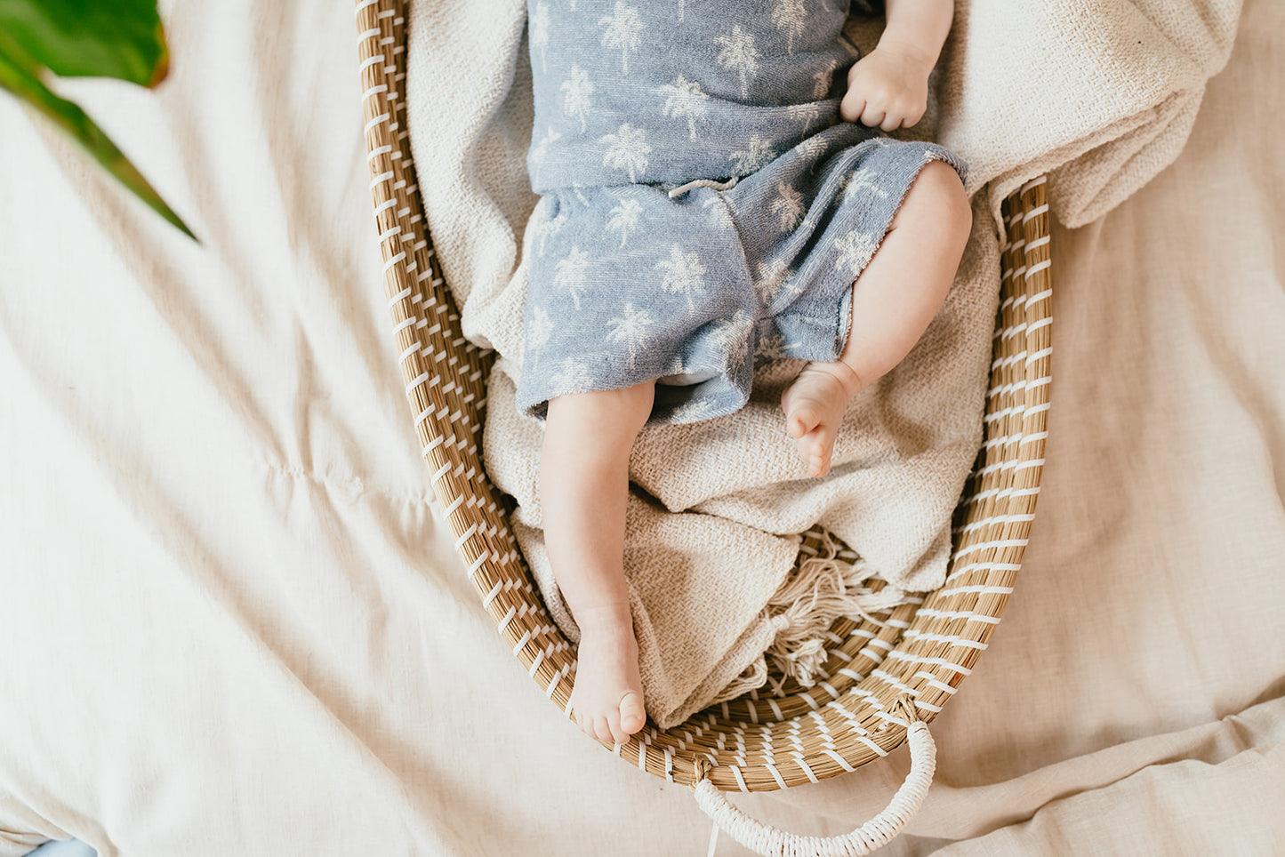 A TINY STORY - BABY SHORT LIGHT BLUE PALM